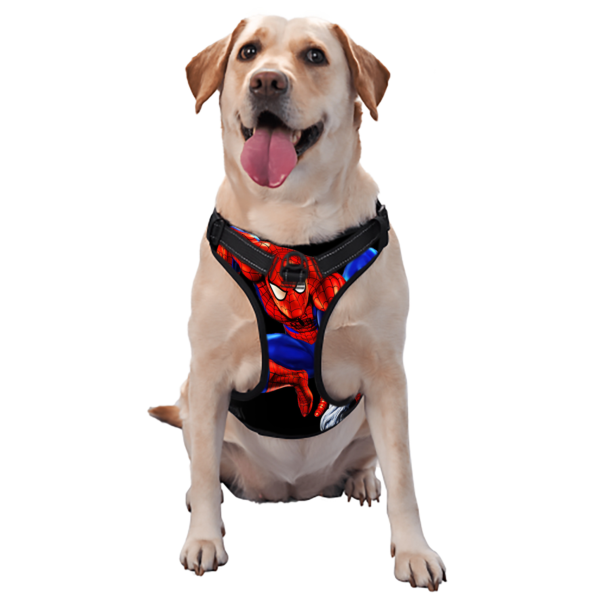 （画像用） Spider Man スパイダーマン ペット用ハーネス